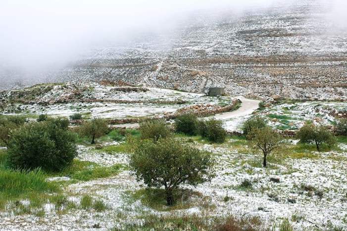 55680154_963978417141380_3415433933095960576_o