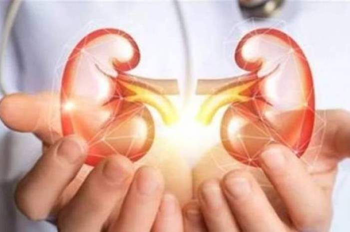 doc-p-566747-636883525600228418-327159-large-395712-large-jpg-29556598391378503