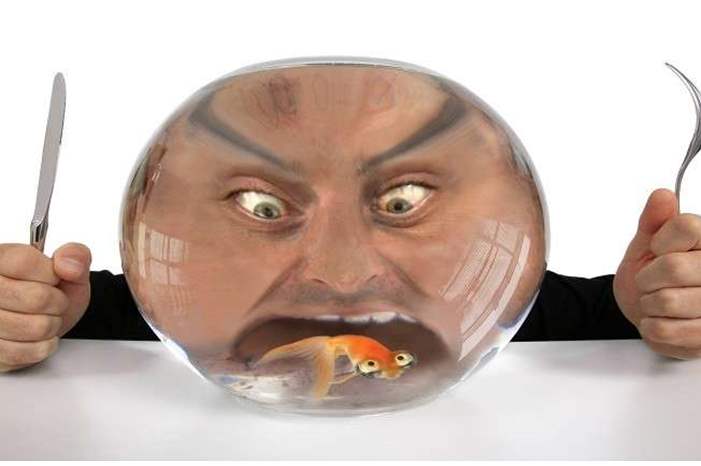 5c9b4b6195a59733418b459e