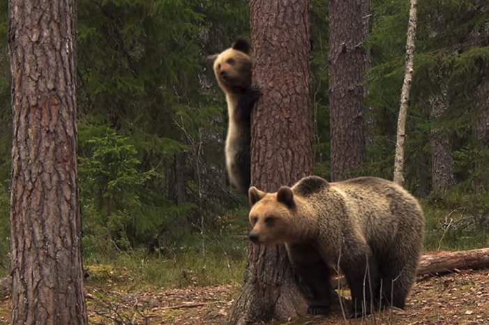 5c9e04f095a5979a228b45a5