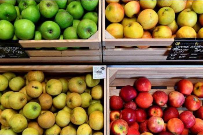 capture-png-82174524402621475