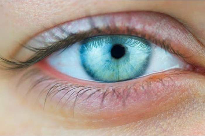 News-P-430464-636870534787965971