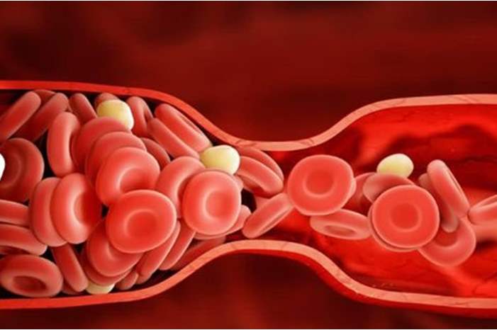 News-P-430433-636870487727853568