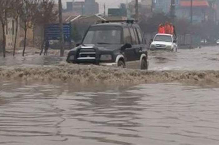 cropped_7078596_1551602609