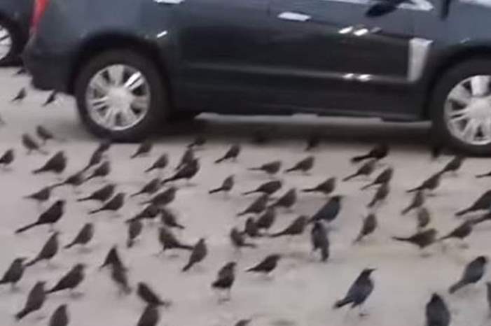 Doc-P-562331-636872872833701831