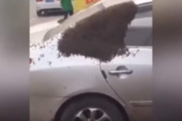 5c7cf7ddd4375037178b458e