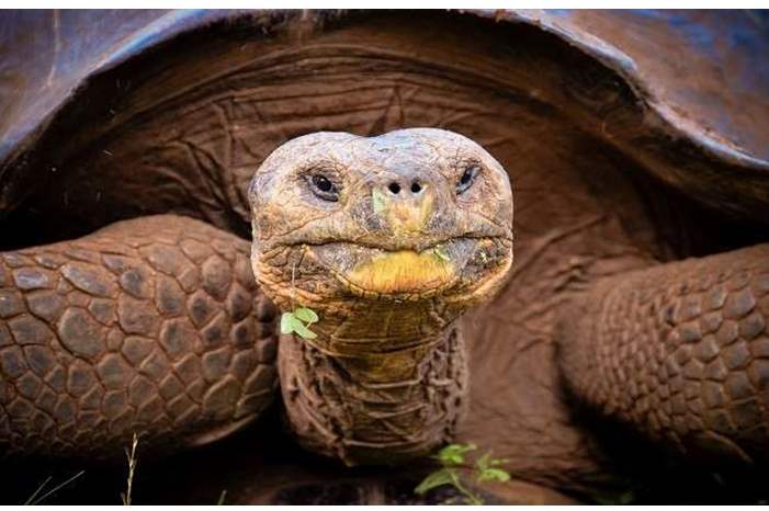 5c7f816ad43750062f8b460f