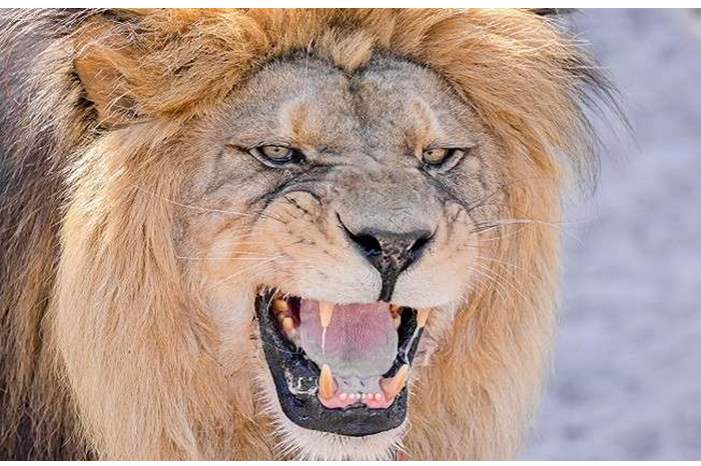 5c7e7627d43750627c8b4625