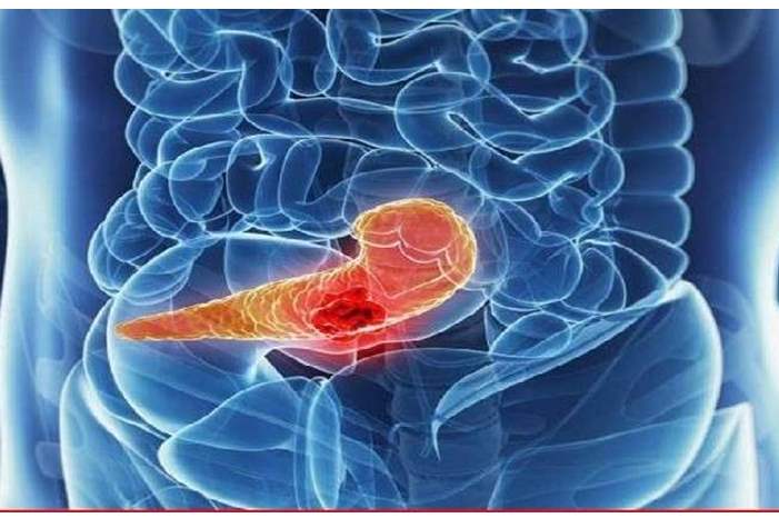 5c7fb49295a597d8588b458d