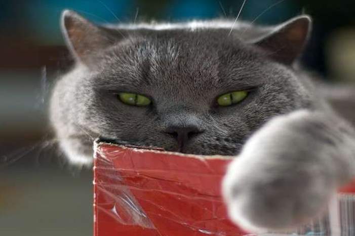 5cac7e7195a597323b8b45c6