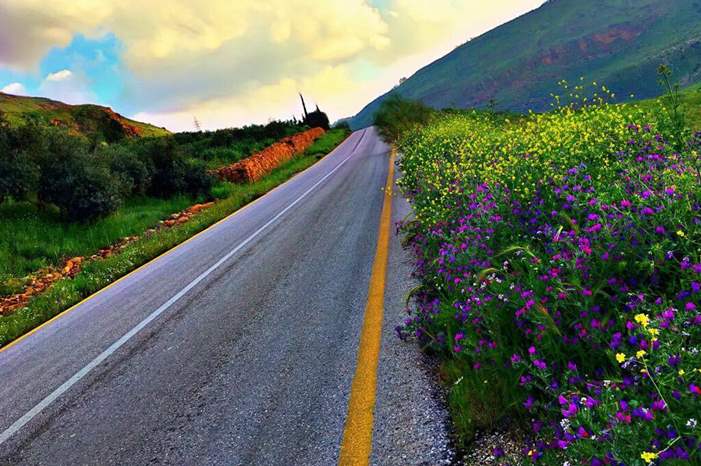 WhatsApp Image 2019-04-04 at 8.01.42 AM