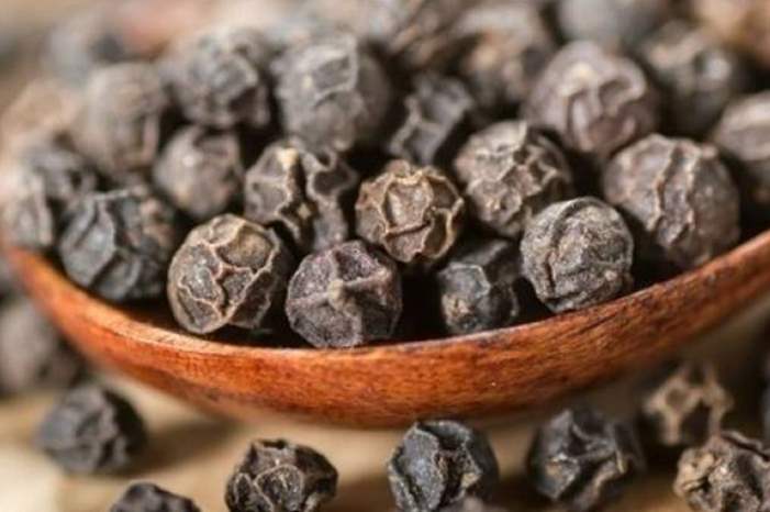 201941022113192v5-jpg-16598548164960164