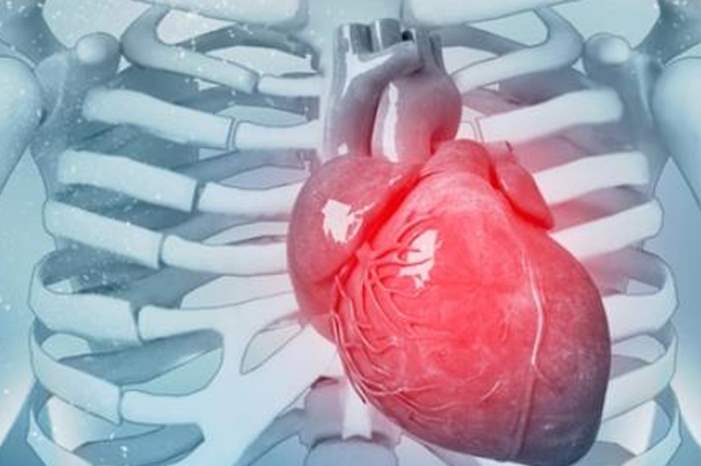 tbl-articles-article-19909-10686304690-488f-458e-9dc0-029eebddf661-jpg-50253130475341447