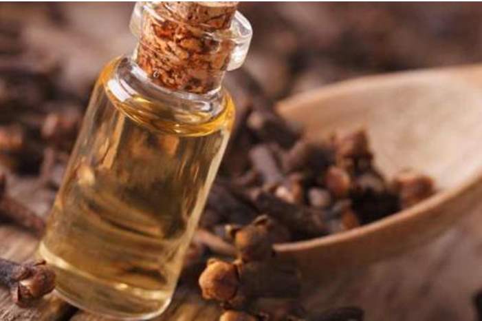 ما_هو_زيت_القرنفل