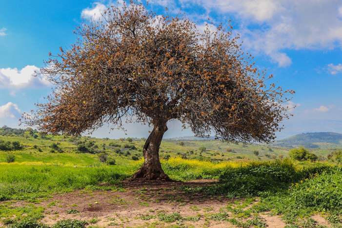 420192102210425928543