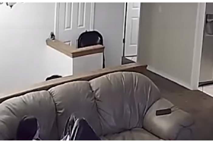 5caf644ed43750855b8b4622