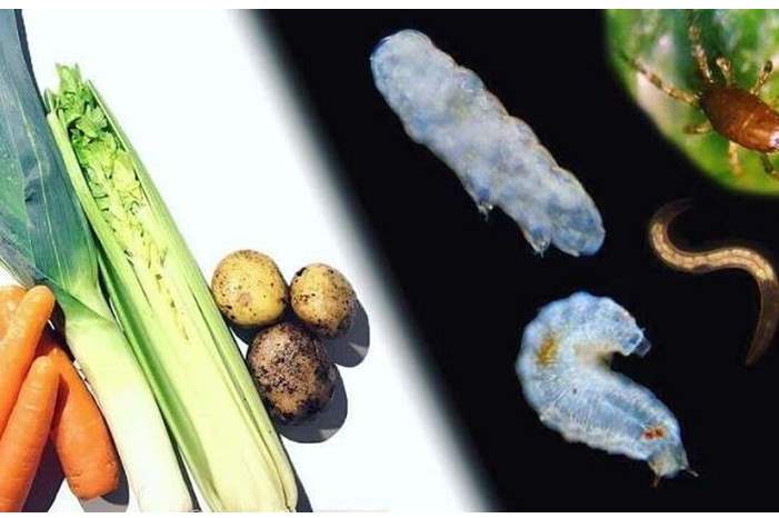 5caf47a0d43750aa5c8b45d0