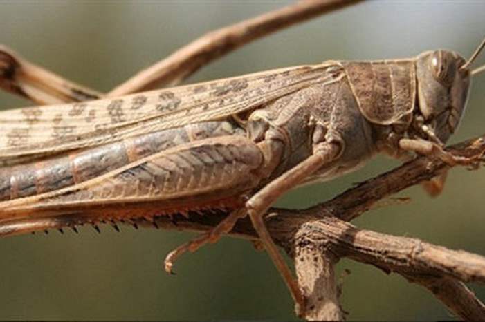 main_image5c73f3c0a2a0c