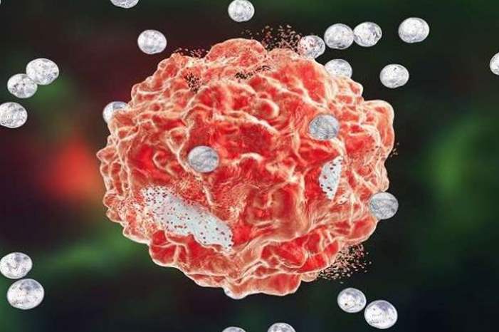 5caf5cb095a59798268b45bb-jpg-50785547951588265