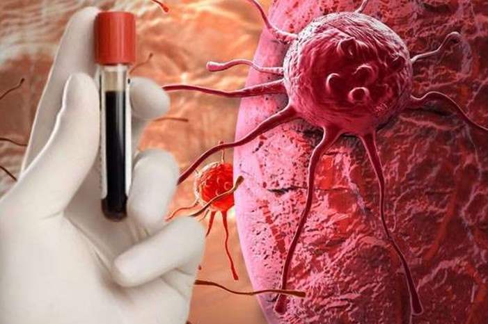 5cb425c395a597ed568b4613