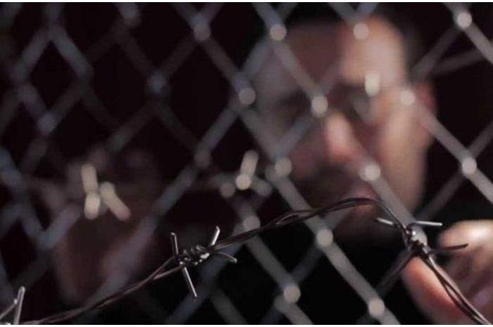 10162333038764234517641815171512