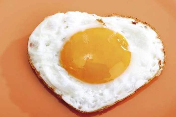 5cb42bd5d4375094018b460c-jpg-16545833555476846