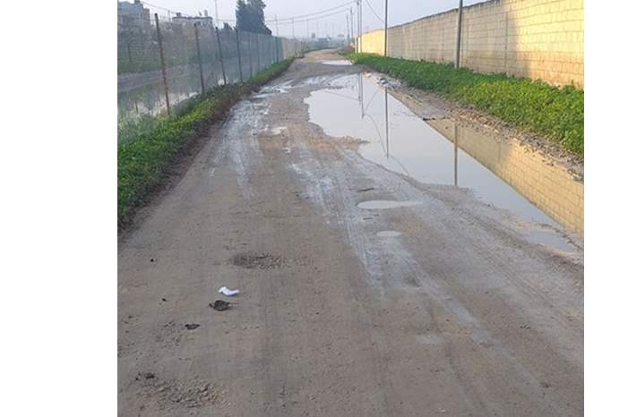 57209169_2214989135253738_2582018034935791616_n