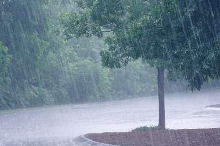 e374c1d3ee_118026_odeur-pluie_0