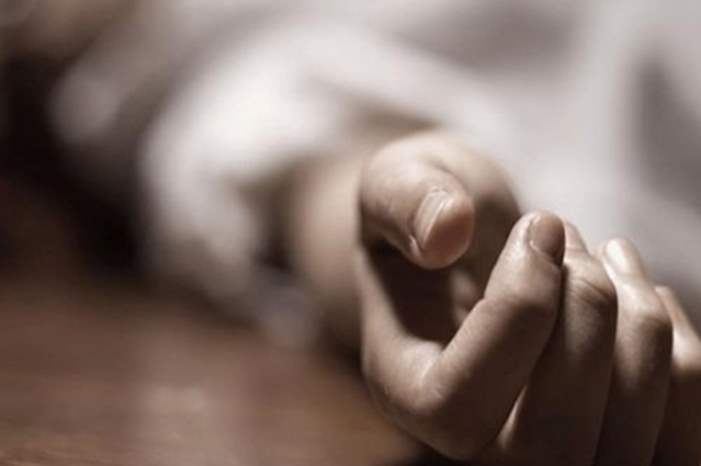 13244123951553315390