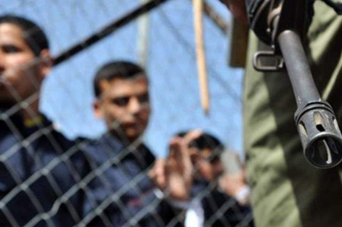 57116412_2731312190272091_8515934813750820864_n