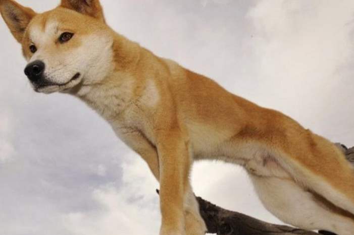 363c89fa-3012-4cdf-84ab-cf94333f70f1_16x9_1200x676