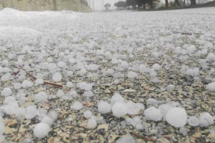 220197122544502398944