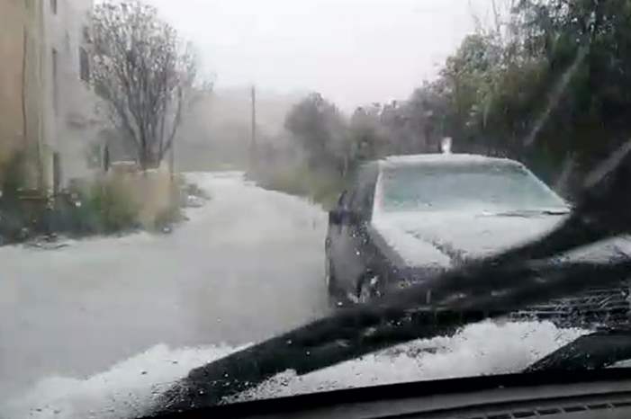 57172692_337591320438750_6359486594046492672_n