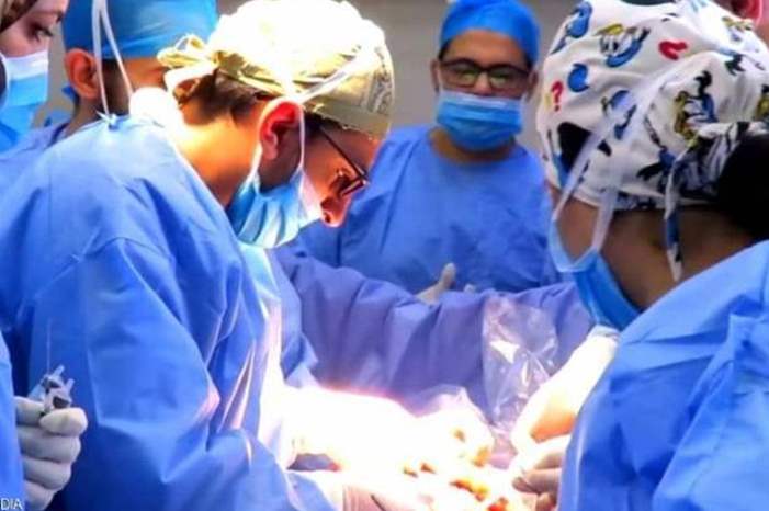 1-1245311-jpg-52755452300388188