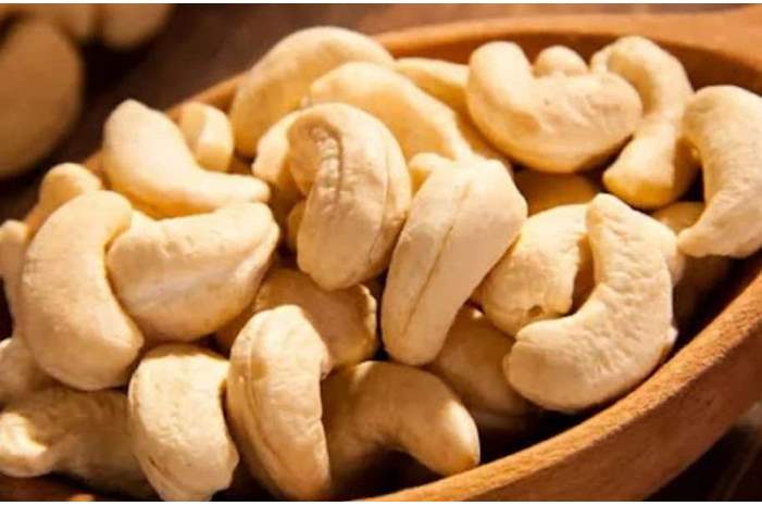 الكاجو-1300x600