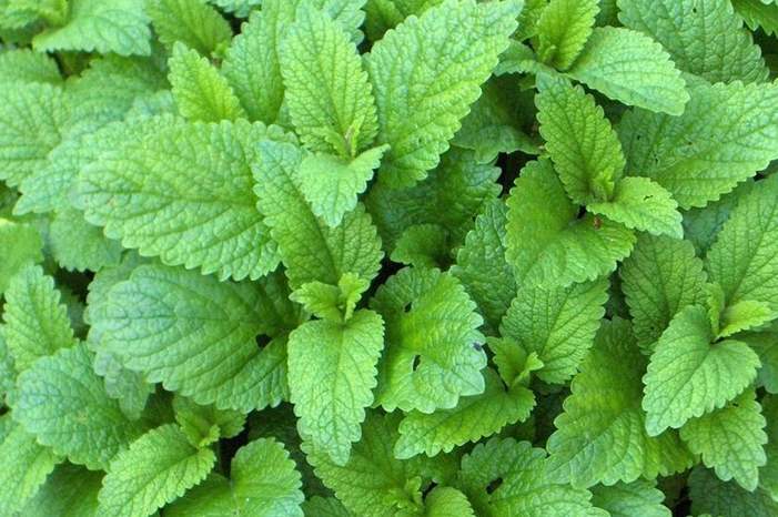 d6b7ba45-3cf6-44fc-97ce-0528f9bf501a_16x9_1200x676