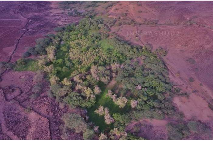 616e9eb5-ba7b-4d67-bc53-e71f11bf4b79_16x9_1200x676