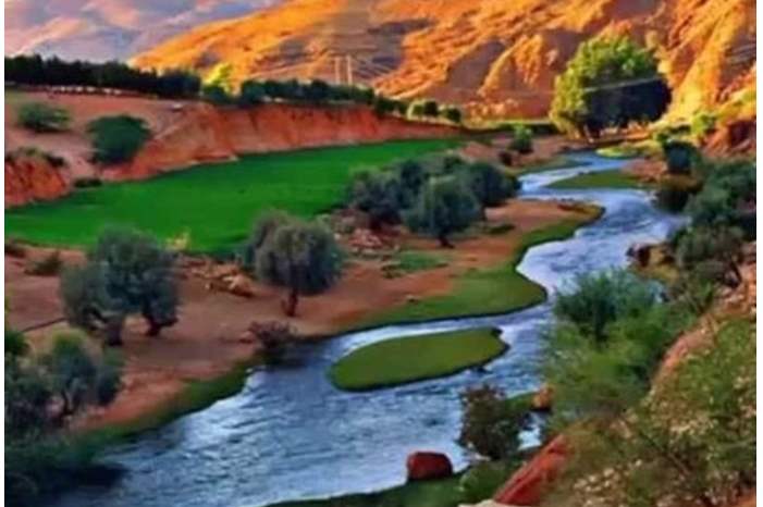 الربيع في دير علا