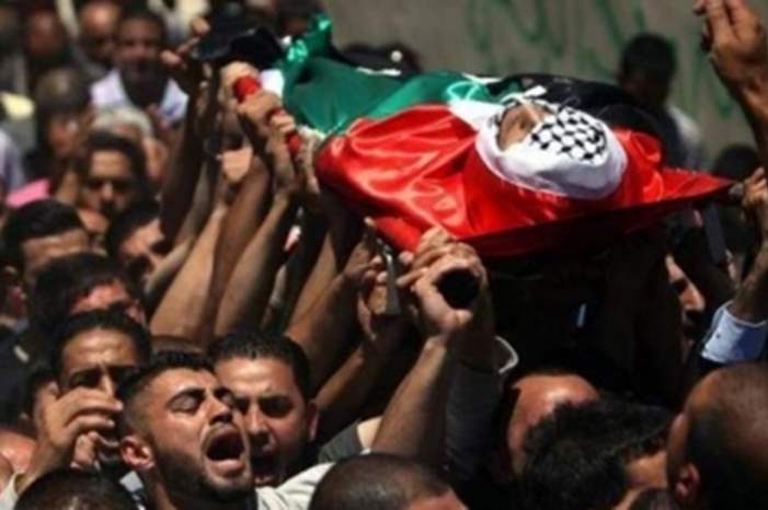 228959_48_1554188020