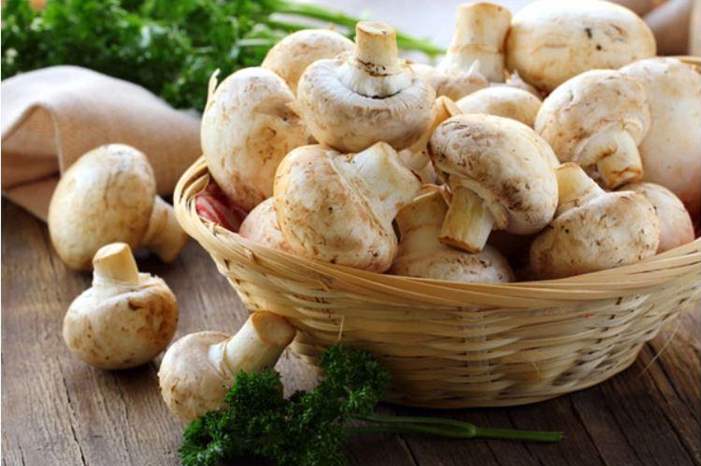 e9fd5a39-623f-4f80-8c69-65e4161508d7