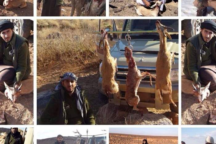 c768bd7a-0a73-4816-8041-8a36b8c0ec72 (1)