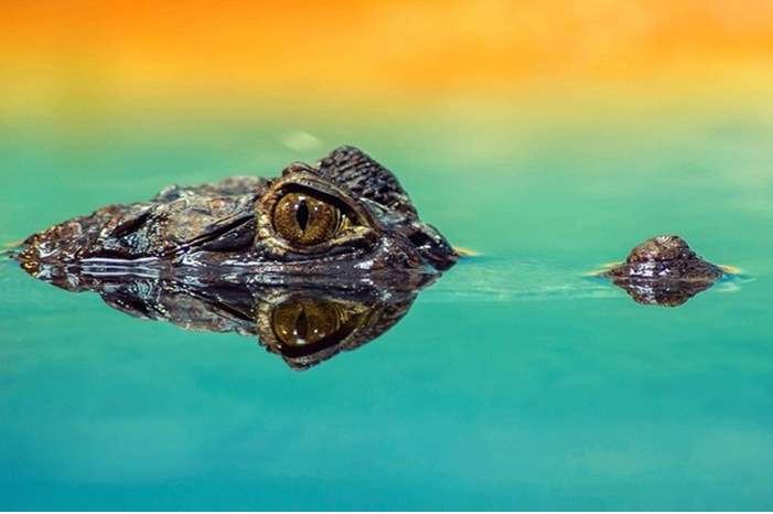 5cbda42b95a597494c8b45c6