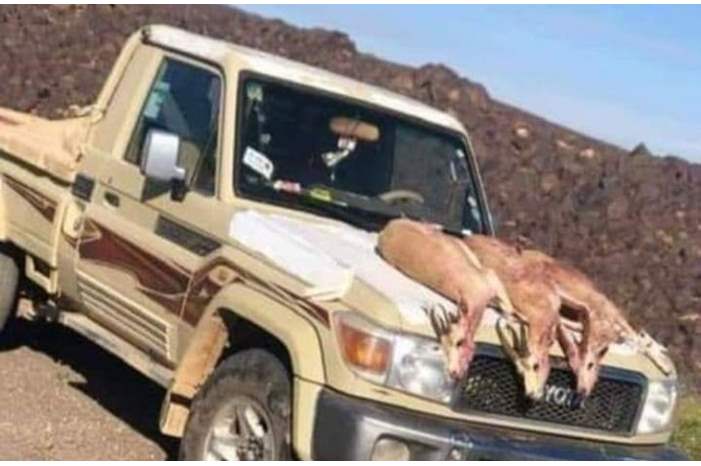 3c744f2489fcecdf97b31cdd51cc7240