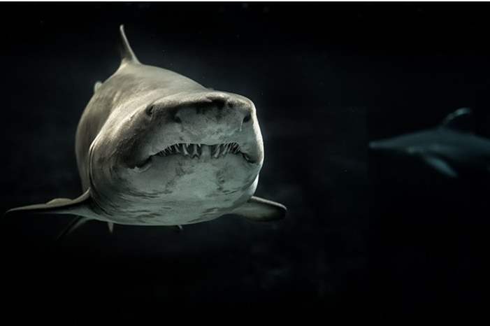 5cbef5c6d437508a178b4617