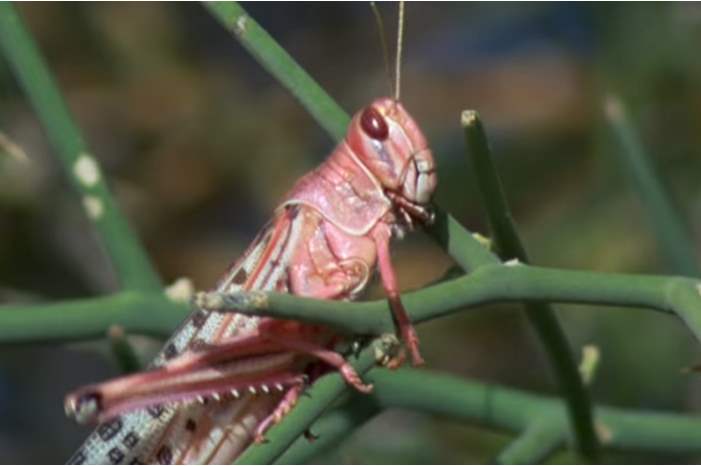 5cbdde9c95a597c0748b4582