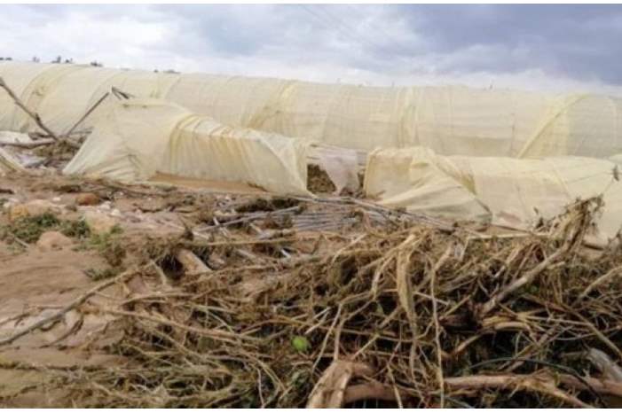 bdd9955ea9cd3cdcb3185916040c73de