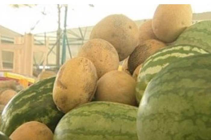 5b191a3accc4a812a2d25279378b1745