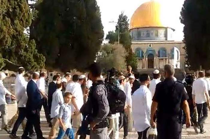 1127033fe4421601afe0675b22f0ca0a_128