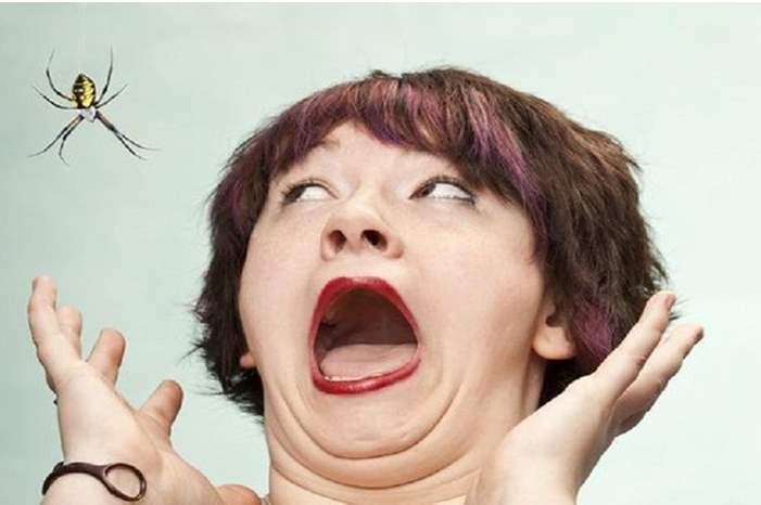 5cc16aa095a59775468b4574