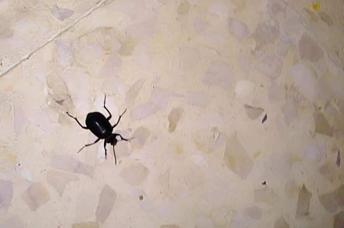 420192713187676380710